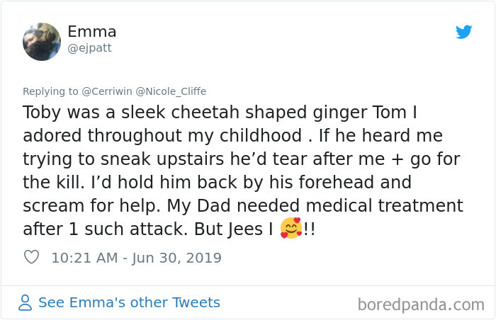 Mean-Cats-Owners-Stories