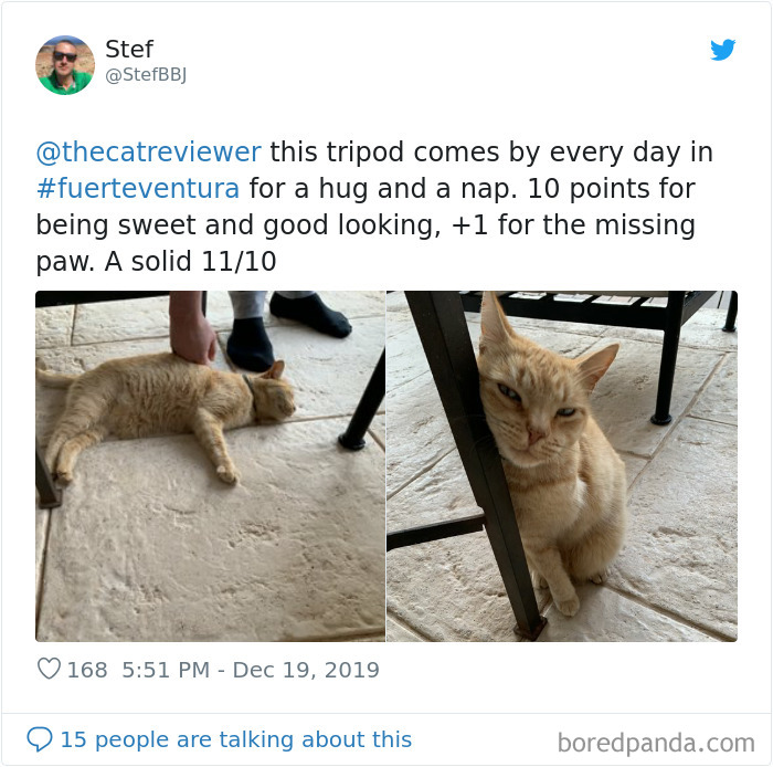 People-Review-Cats-Thecatreviewer