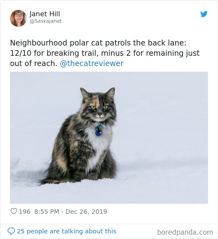 People-Review-Cats-Thecatreviewer