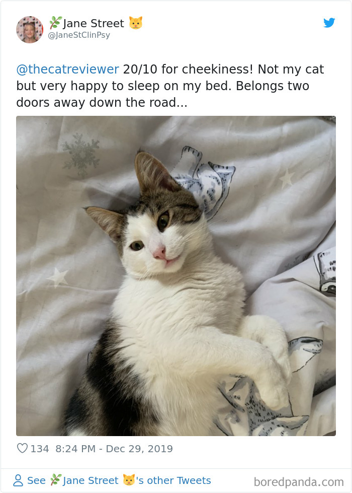 People-Review-Cats-Thecatreviewer