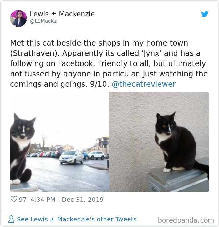 People-Review-Cats-Thecatreviewer