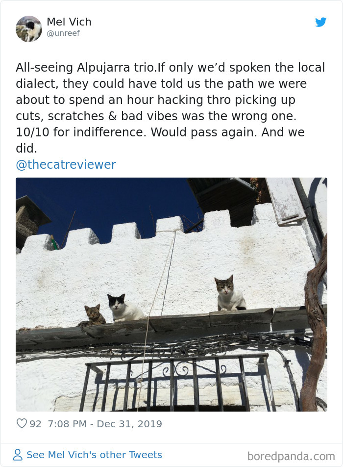 People-Review-Cats-Thecatreviewer