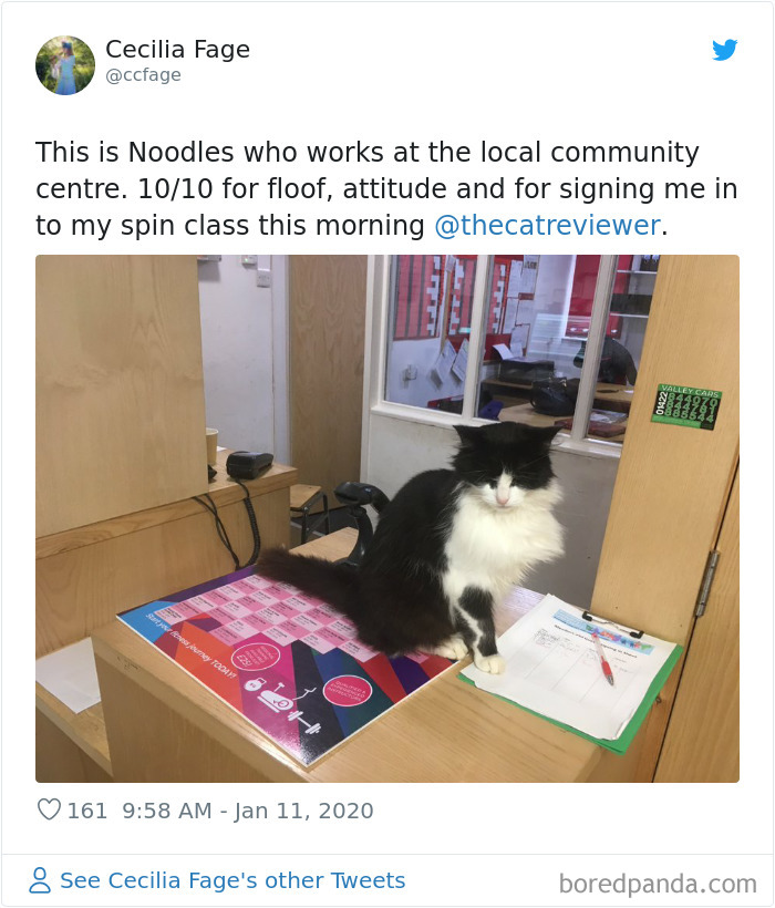 People-Review-Cats-Thecatreviewer