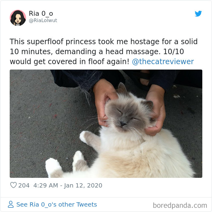 People-Review-Cats-Thecatreviewer