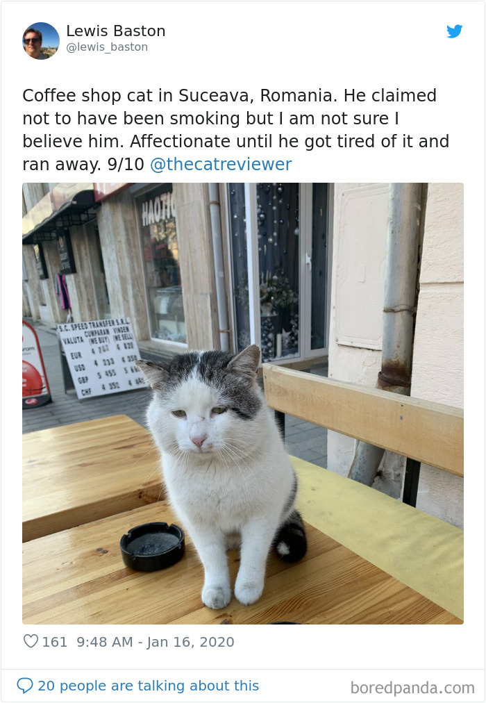 People-Review-Cats-Thecatreviewer