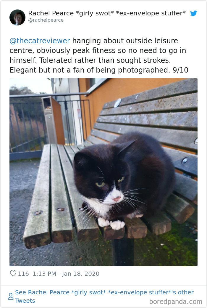 People-Review-Cats-Thecatreviewer