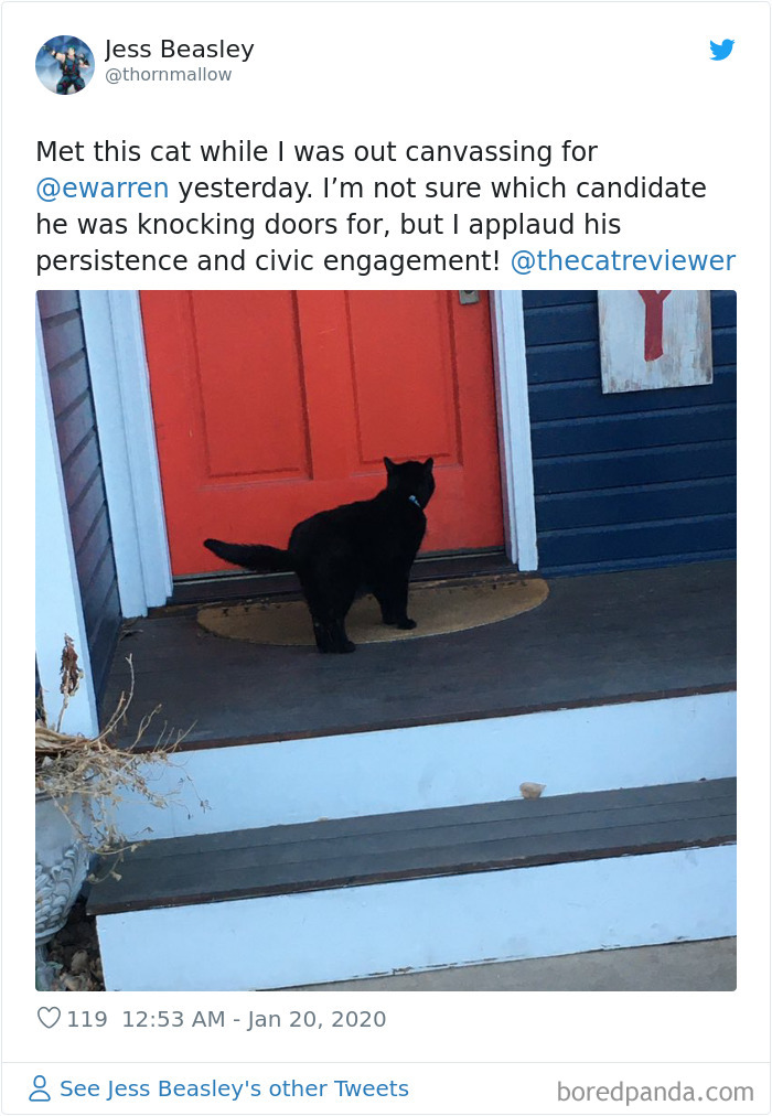 People-Review-Cats-Thecatreviewer