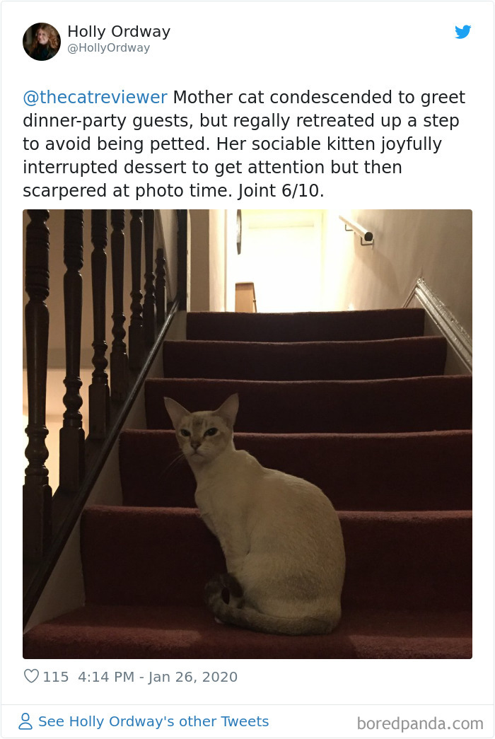 People-Review-Cats-Thecatreviewer