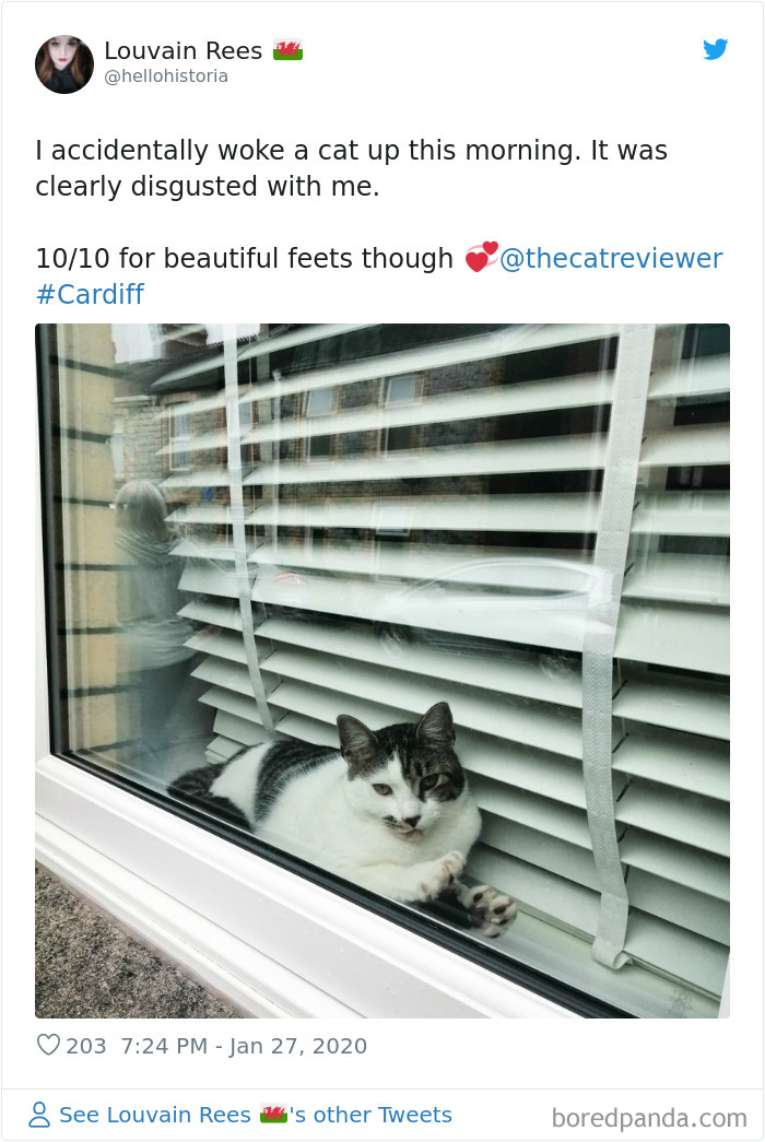 People-Review-Cats-Thecatreviewer