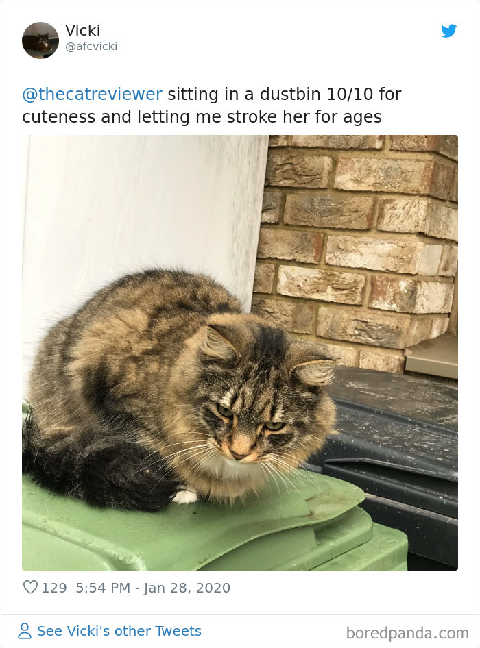 People-Review-Cats-Thecatreviewer