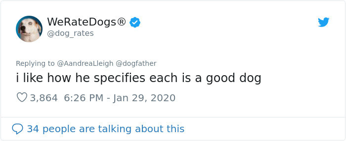 Retired Dad Walks Dogs In An Animal Shelter, Sends Bios Of Each One To His Daughter, People Adore Him