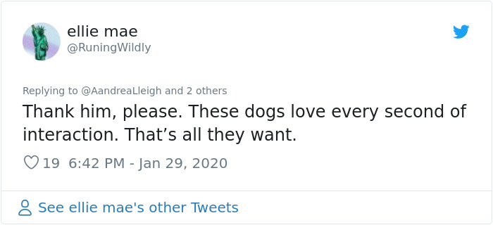 Retired Dad Walks Dogs In An Animal Shelter, Sends Bios Of Each One To His Daughter, People Adore Him