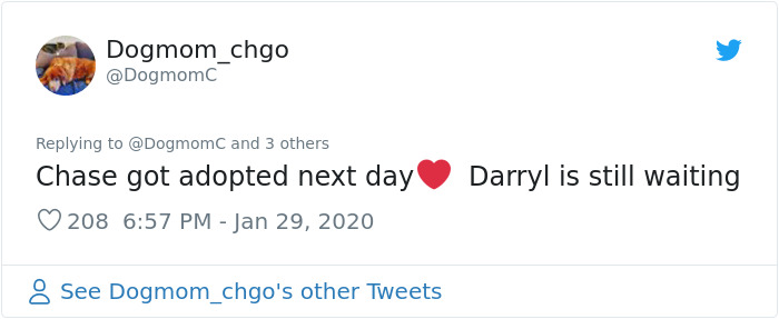 Retired Dad Walks Dogs In An Animal Shelter, Sends Bios Of Each One To His Daughter, People Adore Him