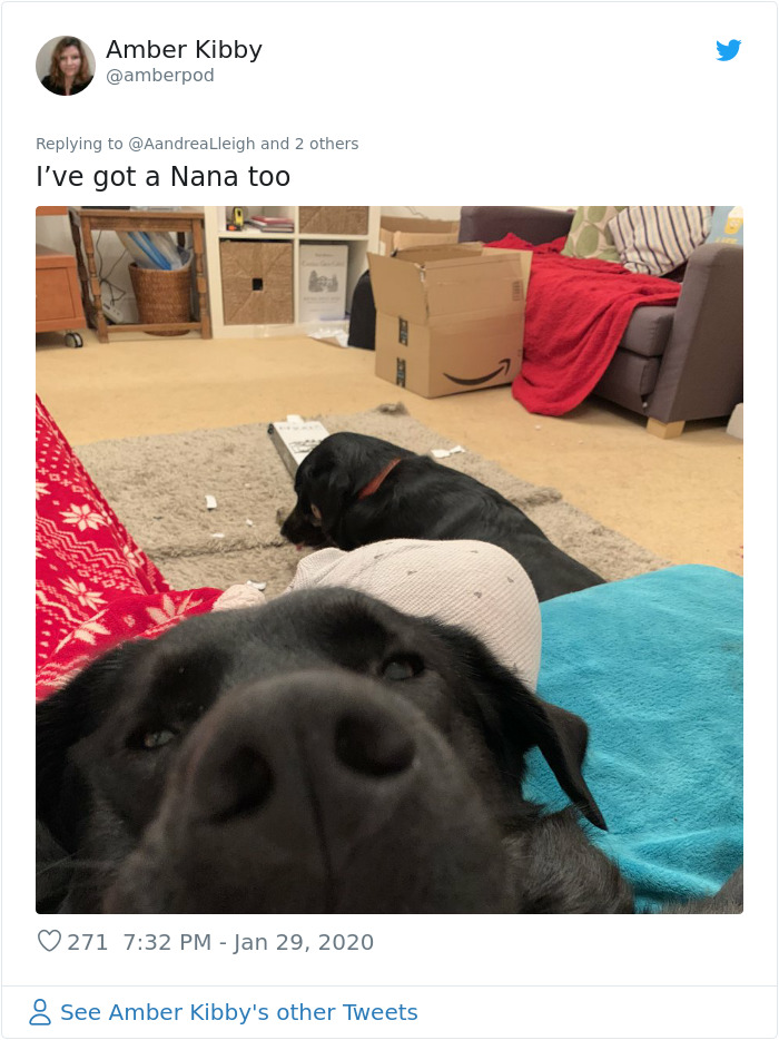 Retired Dad Walks Dogs In An Animal Shelter, Sends Bios Of Each One To His Daughter, People Adore Him Retired Dad Walks Dogs In An Animal Shelter, Sends Bios Of Each One To His Daughter, People Adore Him