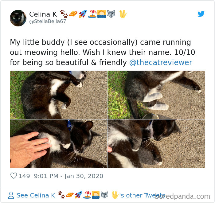 People-Review-Cats-Thecatreviewer