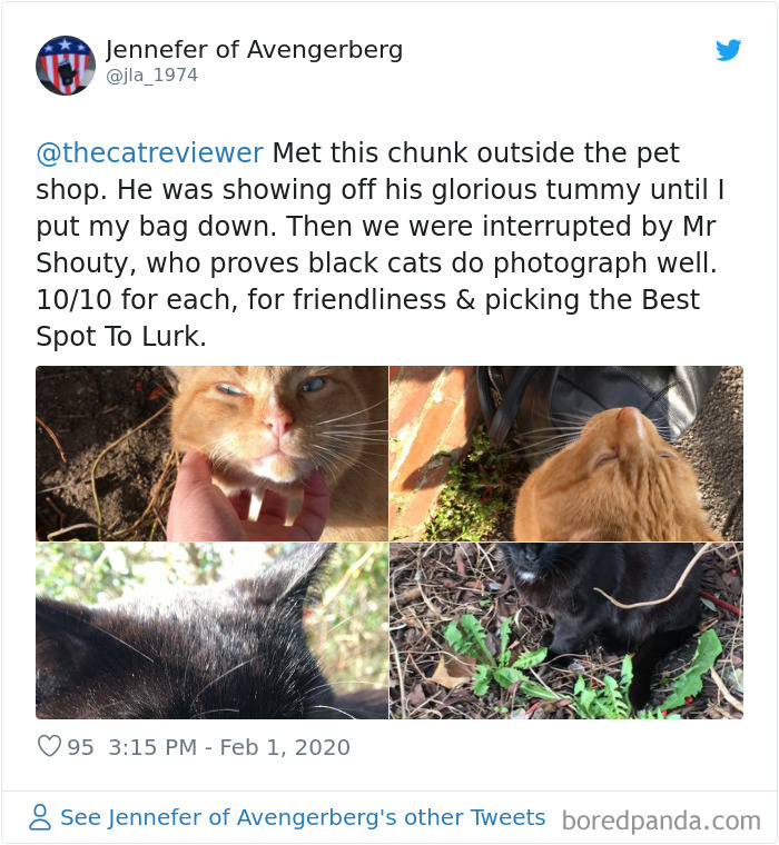 People-Review-Cats-Thecatreviewer