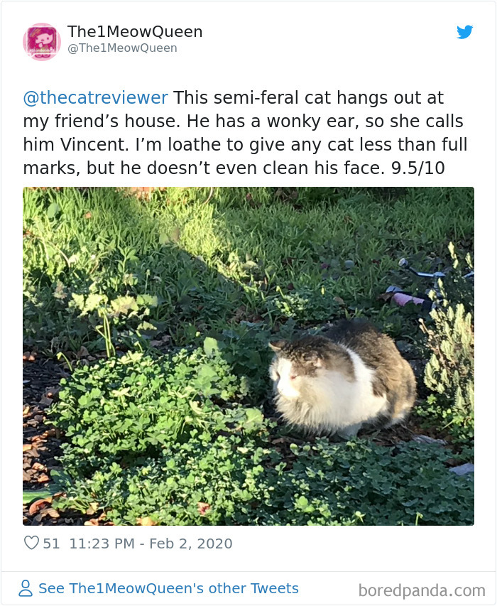 People-Review-Cats-Thecatreviewer