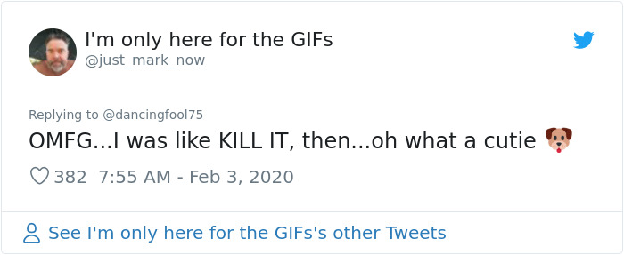 A Confusing Photo Of A Strange Animal Goes Viral On Twitter, And It Might Confuse You As Well A Confusing Photo Of A Strange Animal Goes Viral On Twitter, And It Might Confuse You As Well