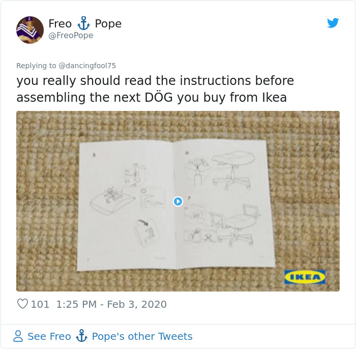 A Confusing Photo Of A Strange Animal Goes Viral On Twitter, And It Might Confuse You As Well A Confusing Photo Of A Strange Animal Goes Viral On Twitter, And It Might Confuse You As Well