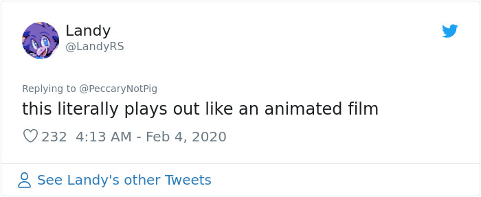 Watch An Impatient Coyote Hurrying His Slow-Moving Badger Friend Up So They Can Check Out A Tunnel Together