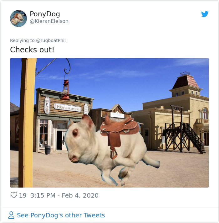 A Confusing Photo Of A Strange Animal Goes Viral On Twitter, And It Might Confuse You As Well A Confusing Photo Of A Strange Animal Goes Viral On Twitter, And It Might Confuse You As Well