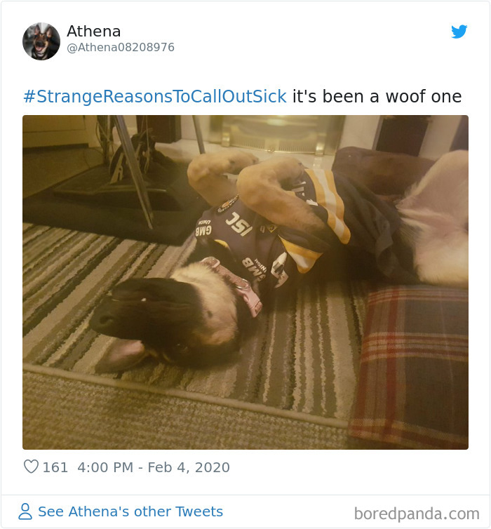 Dog lying on its back wearing a sports jersey, illustrating hilarious and strange reasons to call in sick.