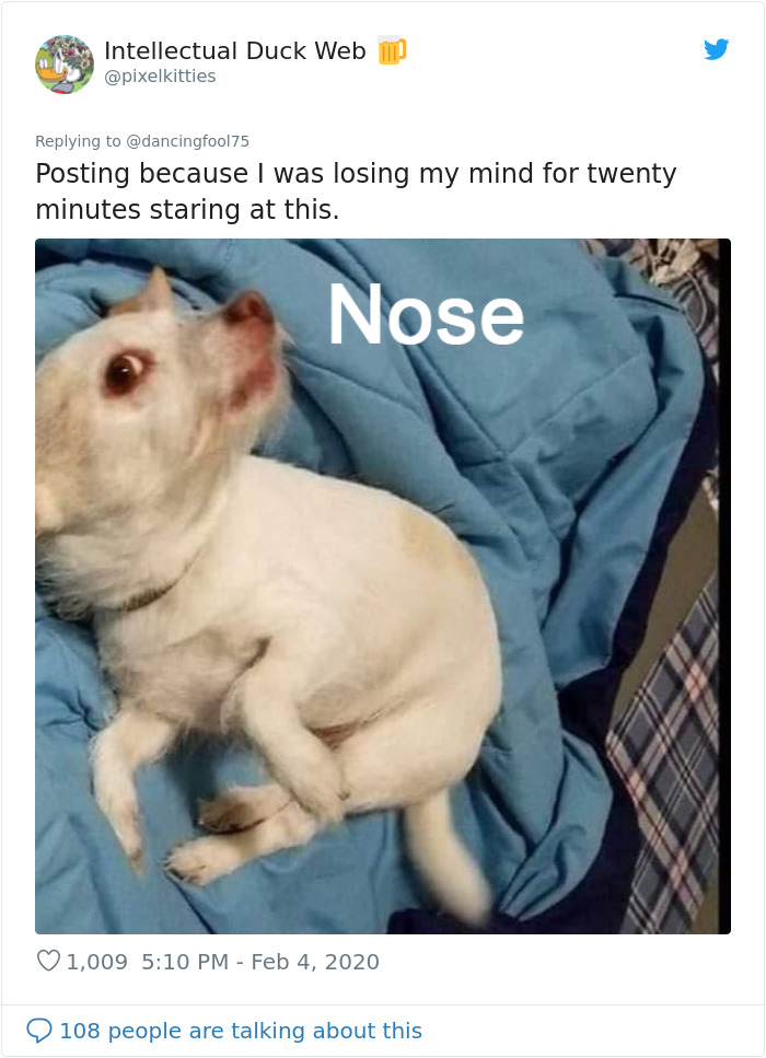 A Confusing Photo Of A Strange Animal Goes Viral On Twitter, And It Might Confuse You As Well A Confusing Photo Of A Strange Animal Goes Viral On Twitter, And It Might Confuse You As Well