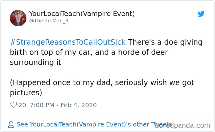 Tweet showing a strange reason to call in sick about a doe giving birth on a car surrounded by deer, highlighting unusual sick calls.