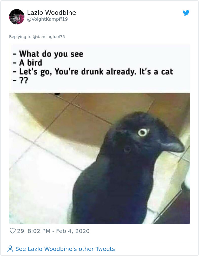 A Confusing Photo Of A Strange Animal Goes Viral On Twitter, And It Might Confuse You As Well A Confusing Photo Of A Strange Animal Goes Viral On Twitter, And It Might Confuse You As Well