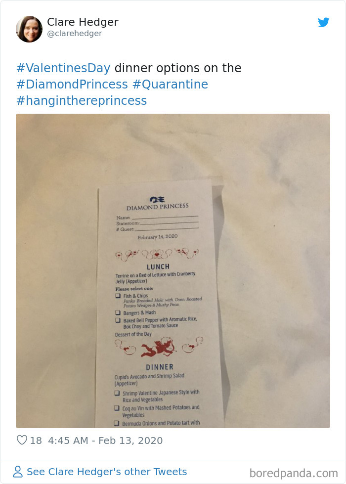 Coronavirus-Diamond-Princess-Cruise-Ship