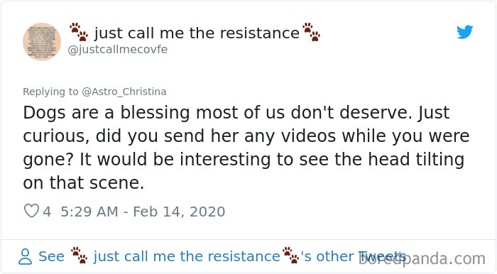 Astronaut Spends 328 Days In Space, Shares A Heartwarming Video Showing Her Dog's Reaction To Finally Seeing Her Astronaut Spends 328 Days In Space, Shares A Heartwarming Video Showing Her Dog's Reaction To Finally Seeing Her