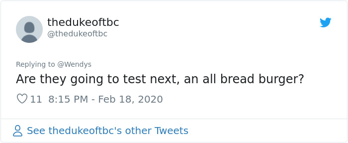 Burger King Tries To Test A New French Fry Burger, Wendy's Roasts Them So Bad, People Are In Awe Burger King Tries To Test A New French Fry Burger, Wendy's Roasts Them So Bad, People Are In Awe