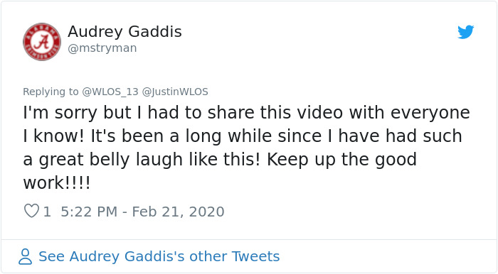 Reporter Has No Idea His Facebook Filters Are On During A Live Report, And The Broadcast Is Hilarious