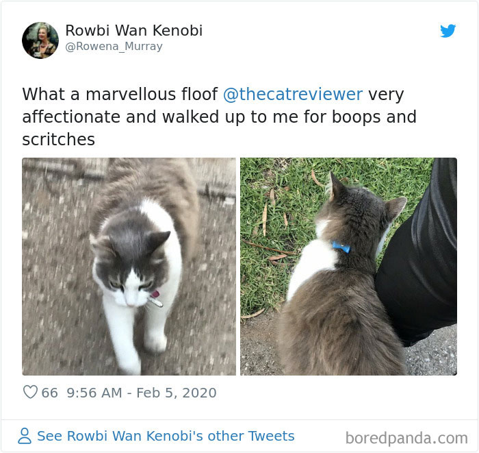 People-Review-Cats-Thecatreviewer