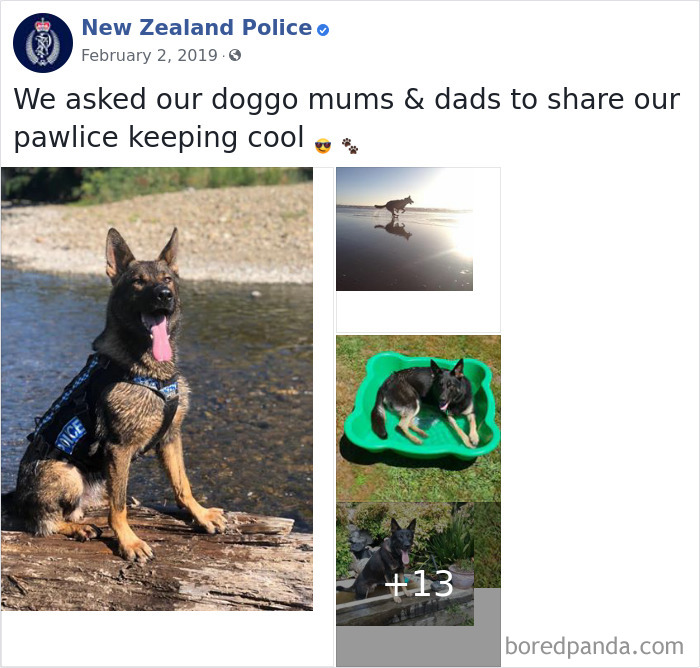 New-Zealand-Police