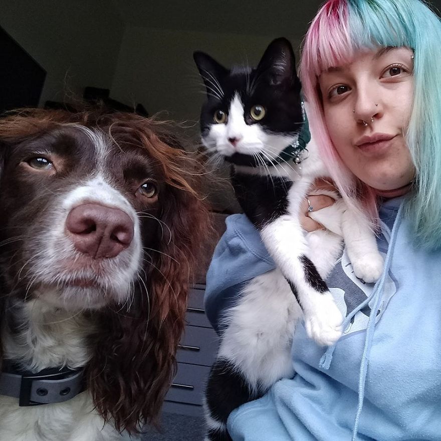 This Cute Dog Has Such Fabulous Hair That It Has Made Him Instagram Famous This Cute Dog Has Such Fabulous Hair That It Has Made Him Instagram Famous