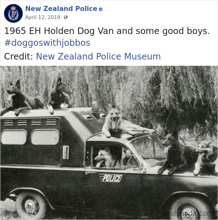 New-Zealand-Police