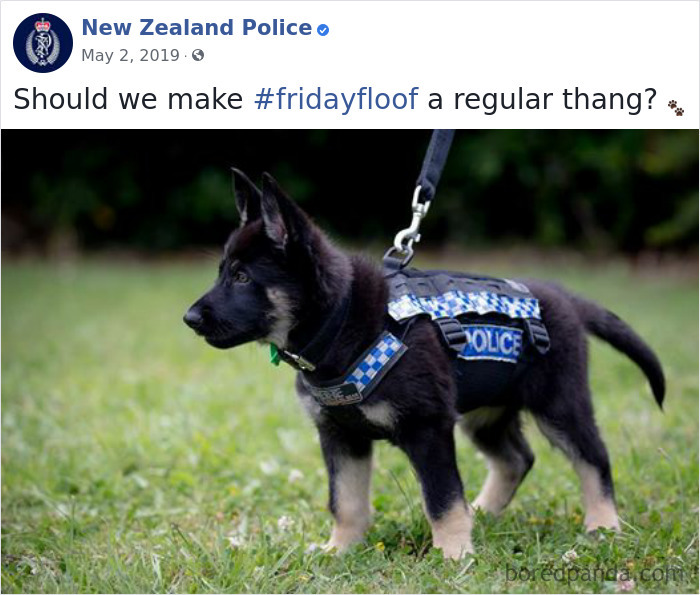 New-Zealand-Police