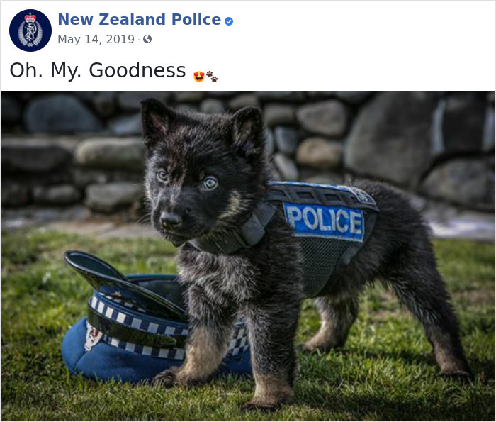New-Zealand-Police