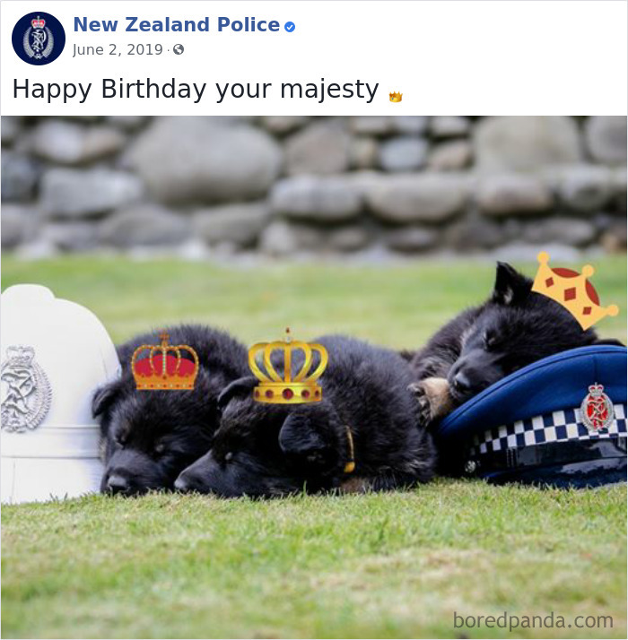 New-Zealand-Police
