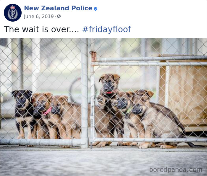 New-Zealand-Police