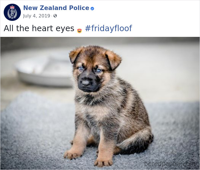 New-Zealand-Police
