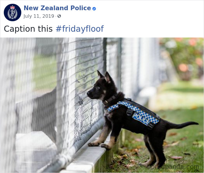 New-Zealand-Police