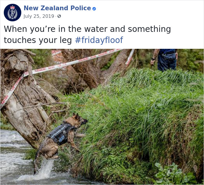 New-Zealand-Police