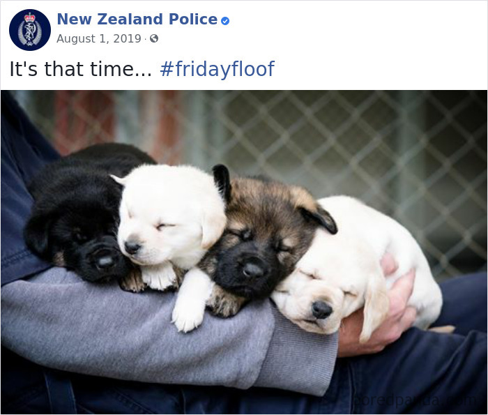 New-Zealand-Police