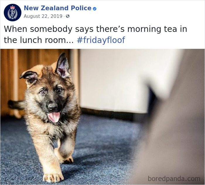 New-Zealand-Police