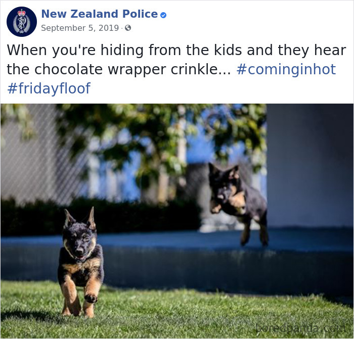 New-Zealand-Police