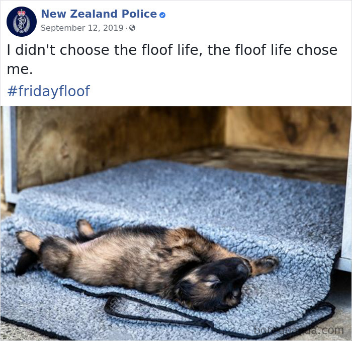 New-Zealand-Police