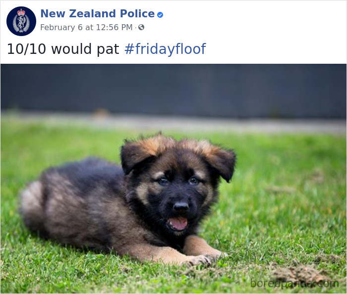 New-Zealand-Police