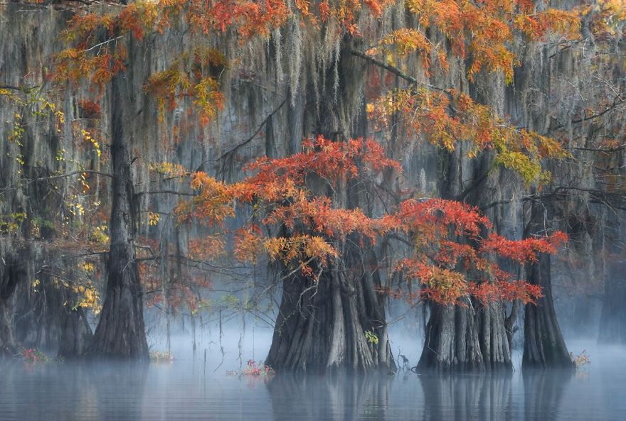 Southern USA By Thorsten Scheuermann